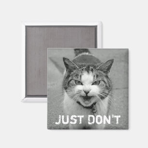 Imán Crabby Cat Magnet