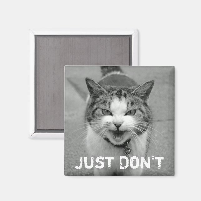 Imán Crabby Cat Magnet (Anverso/Reverso)
