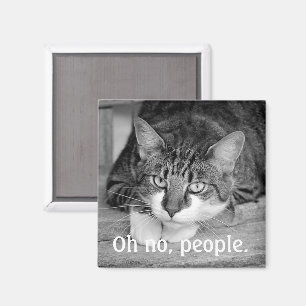 Imán Crabby Cat, "Oh no, gente".