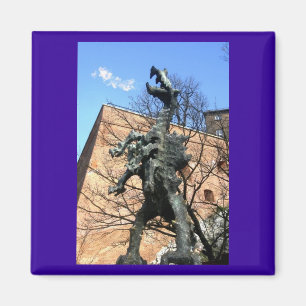 Imán Cracovia, Polonia