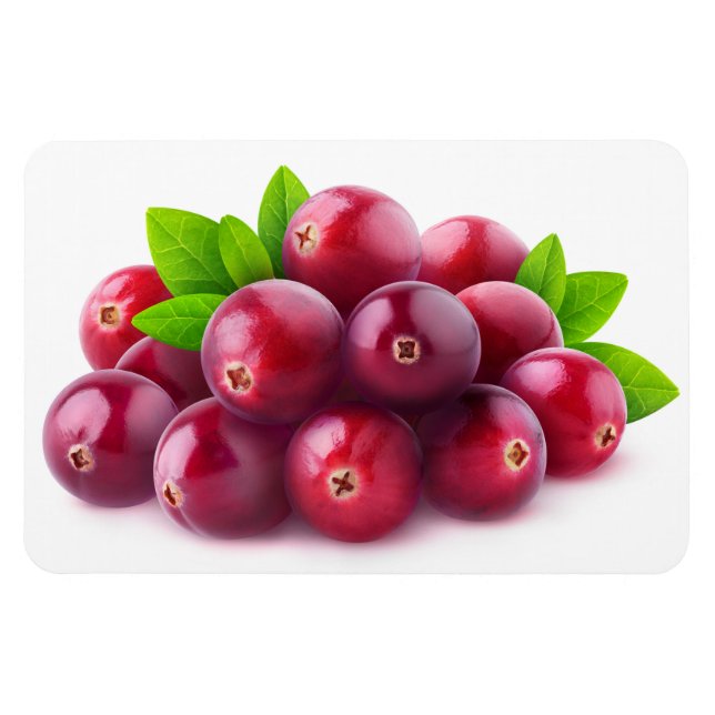 Imán Cranberries (Horizontal)