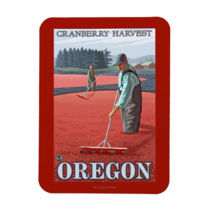 Imán Cranberry Bogs Harvest Vintage Poster de viajes