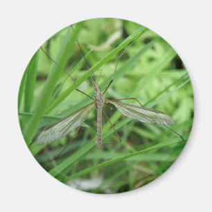Imán Crane Fly Magnet