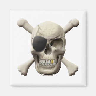 Imán Cráneo pirata malvado y encrucijada