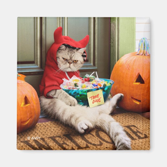 Imán Cranky Devil Cat (Frente)