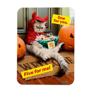 Imán Cranky Devil Cat