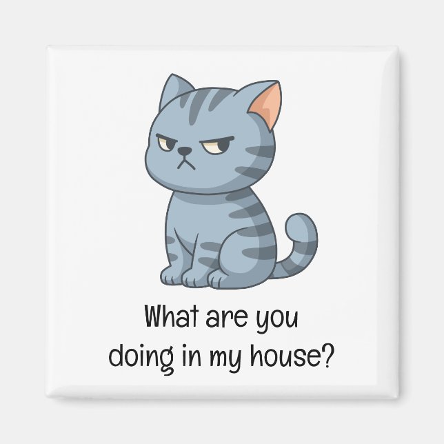 Imán Cranky Grey Tabby Cat Funny Text (Frente)