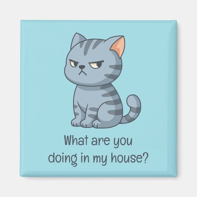 Imán Cranky Grey Tabby Cat Funny Text Blue (Frente)