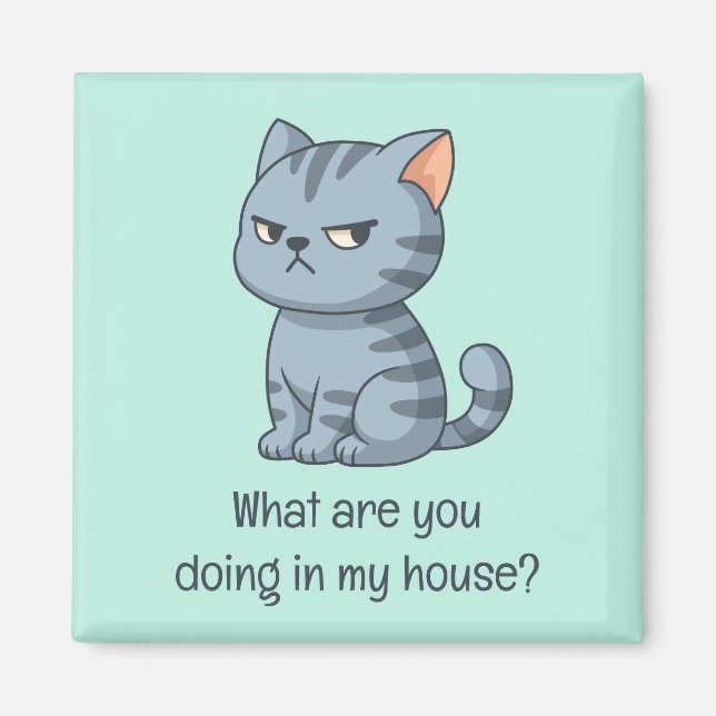 Imán Cranky Grey Tabby Cat Funny Text Green (Frente)