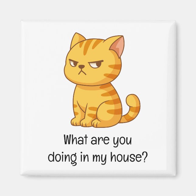 Imán Cranky Orange Tabby Cat Funny Text (Frente)