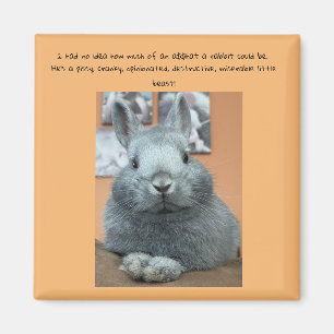 Imán Cranky Rabbit Fridge Magnet