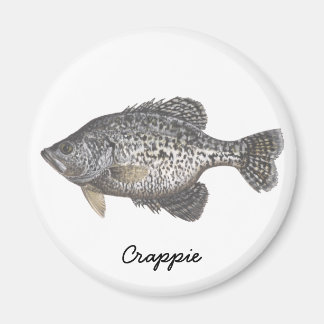 IMÁN CRAPPIE