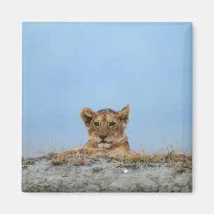 Imán Cráter de Ngorongoro, Tanzania