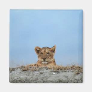 Imán Cráter Ngorongoro, Tanzania