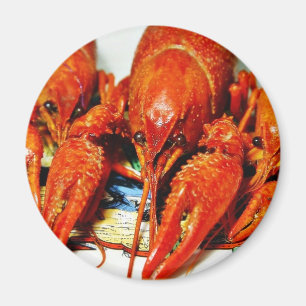 Imán Crawdads Craytfish de los cangrejos