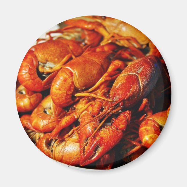 Imán Crawfish (Frente)
