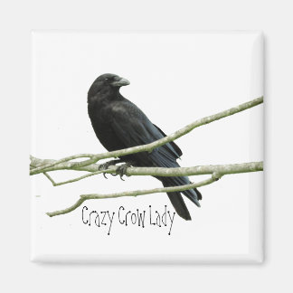 Imán Crazy Crow Lady Magnet