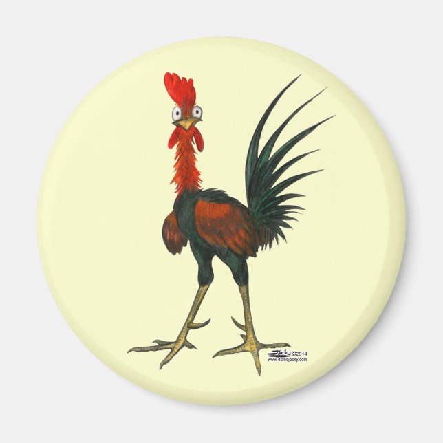 Imán Crazy Rooster (Frente)