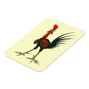 Imán Crazy Rooster