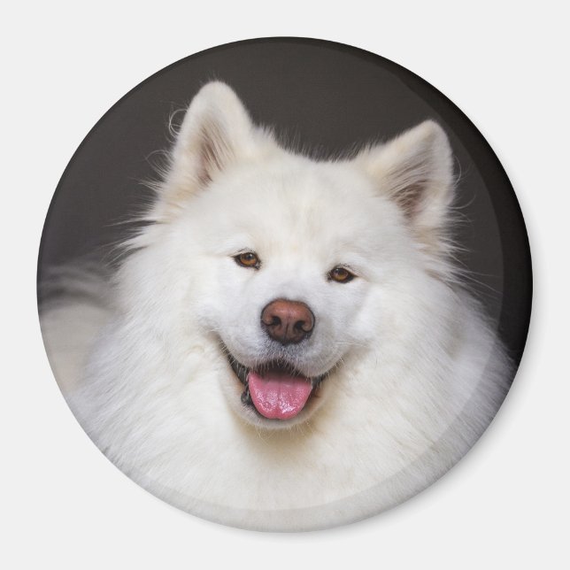 Imán CRB Smiling Magnet (Frente)