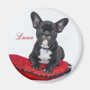 Imán Crea tu propia foto de mascota