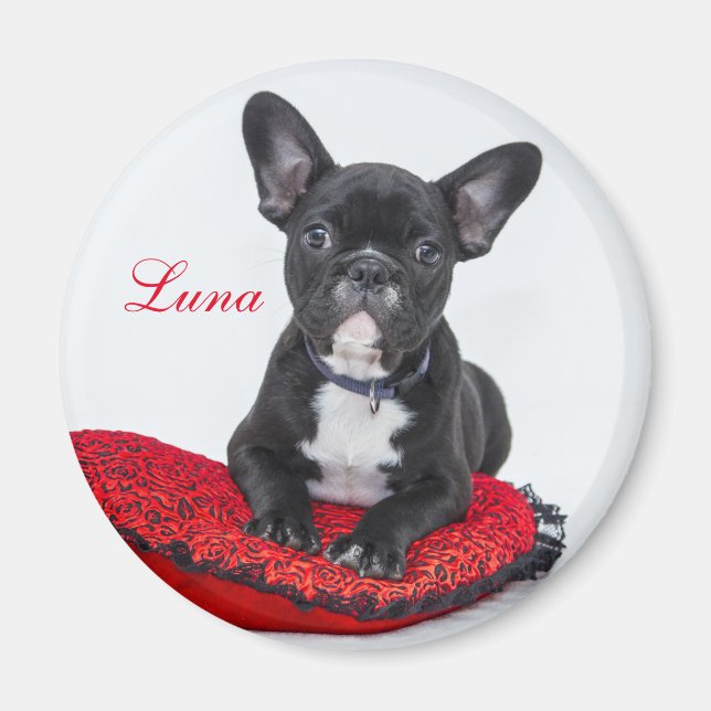 Imán Crea tu propia foto de mascota (Frente)