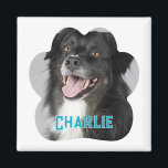 Imán Crea tu propia foto de perro Mascota<br><div class="desc">Presentamos el "Create Your Own Mascota Dog Photo Magnet", la forma perfecta de mostrar a tu querido amigo peluche adonde vayas. Personaliza tu imán con una foto favorita de tu perro, bellamente monogramada con su nombre. Este accesorio versátil es ideal para mostrar orgullosamente en su coche, refrigerador o lavavajillas, añadiendo...</div>