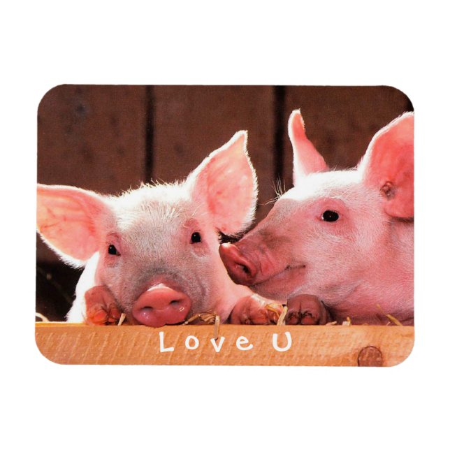 Imán Crea tu propia foto divertida te ama Personalizado (Horizontal)