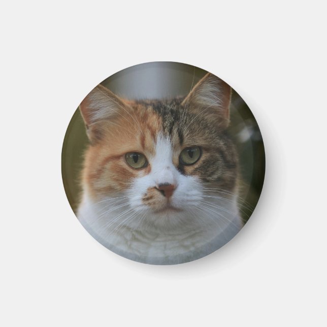 Imán Crea tu propia foto personalizada de tu gato como  (Frente)