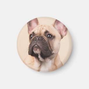 Imán Crea tu propia foto personalizada de tu mascota