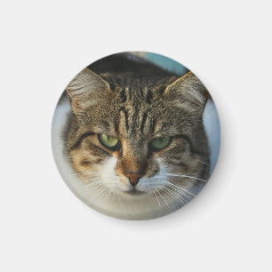 Imán Crea tu propio regalo de foto personalizada de mas
