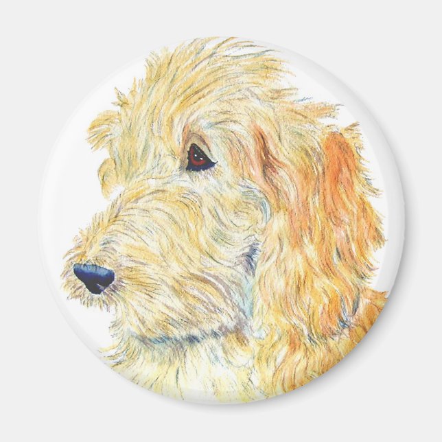Imán Cream Labradoodle Magnet (Frente)