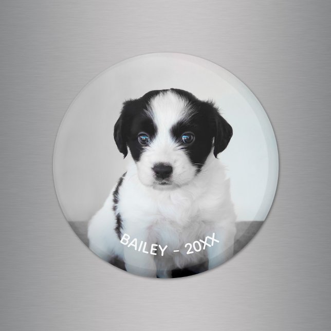Imán Crear su propio nombre de foto y año Mascota (Create Your Own Pet Photo Name and Year Magnet, in situ)