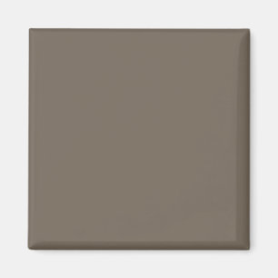 Imán Crear un espacio vital elegante con una pared marr