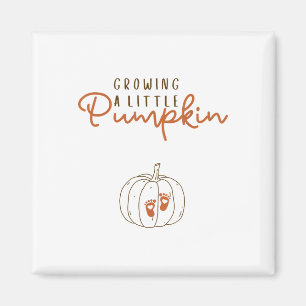 Imán Crecer Un Pequeño Embarazo De Calabaza Revela Hall