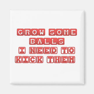 Imán Crecer unas bolas