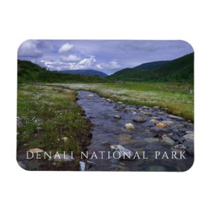 Imán Creek de búfalo, parque nacional de Denali y prese