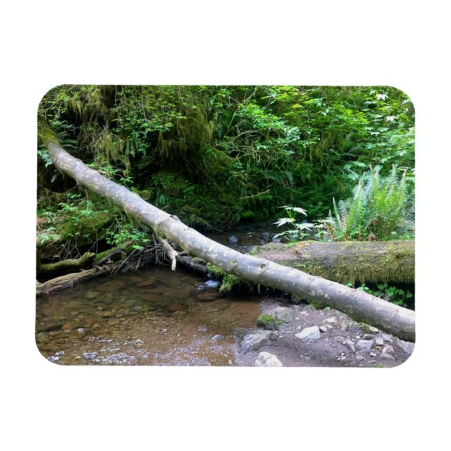 Imán Creek de Cabo Perpetua, Oregón (Horizontal)