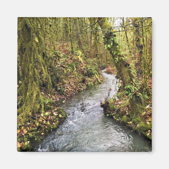 Imán Creek de Corral, Oregón (Frente)