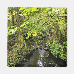 Imán Creek de Corral, Oregón