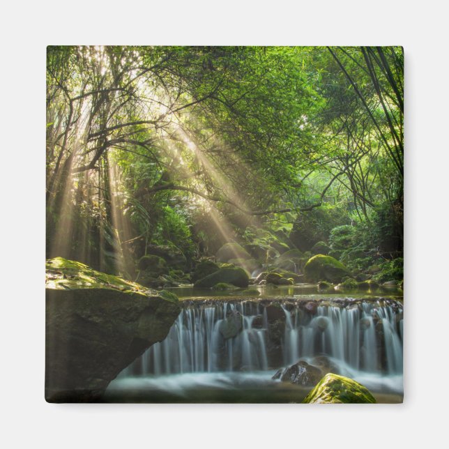 Imán Creek Longquan Glamorous (Frente)