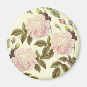 Imán Crema de tres Rosas