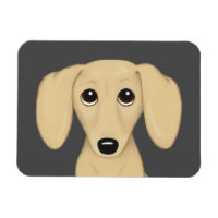 Crema lisa y recubierta Dachshund Perro de la cari
