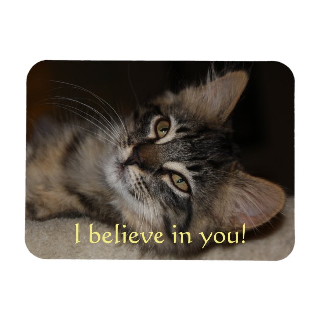 Imán Creo En Tu Gato Magnet (Horizontal)