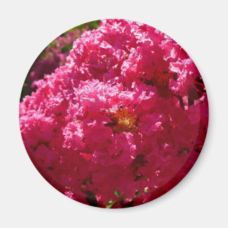 Imán Crepe Myrtle Tree Magenta Floral