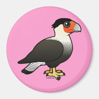 Imán Crested Caracara