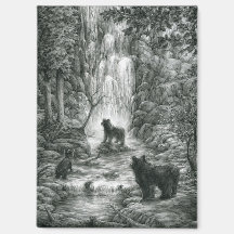 Crías de oso visitan las cataratas