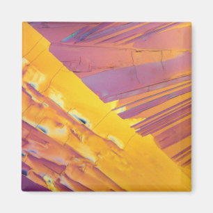 Imán Cristales del ácido oxálico