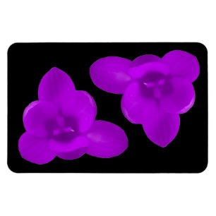 Imán Crocus Flower Purple Premium Magnet
