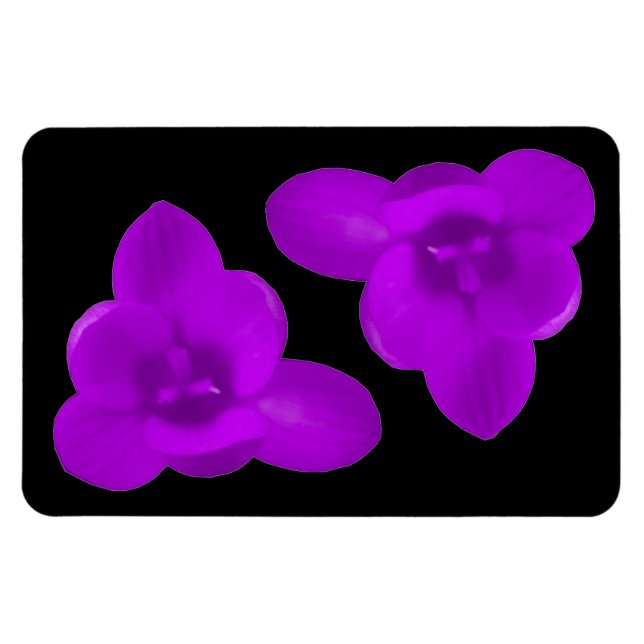 Imán Crocus Flower Purple Premium Magnet (Horizontal)